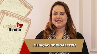 Explica Direito Filiação Socioafetiva  2019 [upl. by Shelton378]