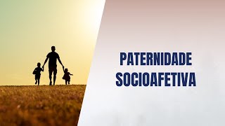 Paternidade socioafetiva [upl. by Sivam]