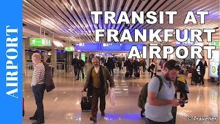 TRANSIT WALK AT FRANKFURT Airport FRA Terminal 1  Connection Flight Transfer Arriving amp Departing [upl. by Nalaf]